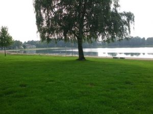 Camping WiesenSee